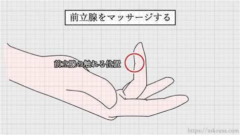 前立腺 エッチ|前立腺責めのやり方とコツ！気持ちいい前立腺マッサージの方法。